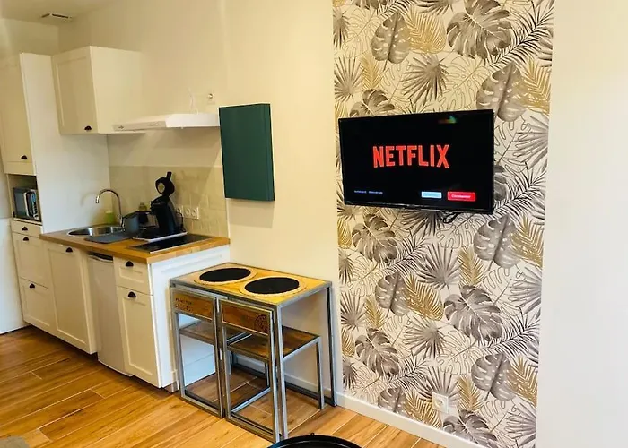 Apartment Du Chateau Climatisee Carcassonne