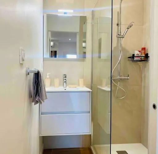 Apartment Du Chateau Climatisee *